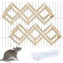 Kiln-Dried Wood Rat Climb Toy, Hanging Cage Ladder Activity (S, 2pcs)