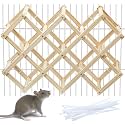 Kiln-Dried Wood Rat Climb Toy, Hanging Cage Ladder Activity (L, 1pc)
