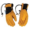Kinco Premium Ski Gloves