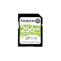 Kingston 256GB SDHC Canvas Select Plus 100MB/s Read Class 10 UHS-I U1 V10 Memory Card (SDS2/256GB)