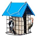 Kingsyard All Metal Double Suet Bird Feeder with Perch