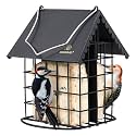 Kingsyard All Metal Double Suet Bird Feeder with Perch
