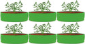 Kingwell grow bag 18*6 inch for leafy vegetable Plants Terrace gardening Grow Bag
