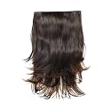 KIS Synthetic Wavy Hair Extensions with 4 Clip-in for Women, Highlight Gold