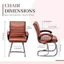 Comfortable Exclusive Home Office Visitor Study Home Library Chair with Cushioned seat Back (1, Brown, Double Pipe Chrome Frame)