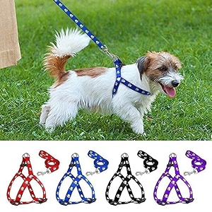 adjustable 075 inch nylon leash with harness set printed nylon puppy harness for small amp medium dogs color may vary