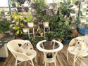 KLODOR Garden/Balcony/Terrace/Poolside Patio Seating Chair & Table Set For Outdoor Metal Outdoor Chair