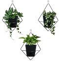 Koalaime 3 Sets Wall Planters for Indoor Plants Geometric Hanging Planters for Indoor Plants - Self-Watering Flower Pots with Black Metal Holder, Mounted Succulent Planter, 5" Black Plant Pot