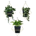 Koalaime 3 Sets Wall Planters for Indoor Plants Geometric Hanging Planters for Indoor Plants - Self-Watering Flower Pots with Black Metal Holder, Mounted Succulent Planter, 5" Black Plant Pot