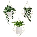 Koalaime 3 Sets Wall Planters for Indoor Plants Geometric Hanging Planters for Indoor Plants - Self-Watering Flower Pots with Black Metal Holder, Mounted Succulent Planter, 5" Black Plant Pot