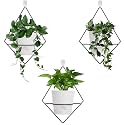 Koalaime 3 Sets Wall Planters for Indoor Plants Geometric Hanging Planters for Indoor Plants - Self-Watering Flower Pots with Black Metal Holder, Mounted Succulent Planter, 5" Black Plant Pot
