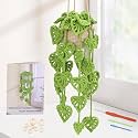 Kogyxe Crochet Kit for Beginners Crochet Hanging Plant with Tutorials