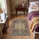 Kokia 2x3 Black and Pink Moody Vintage Boho Oriental Soft Washable Area Rug