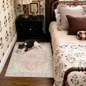 Kokia 2x3 Blush Pink and Blue Vintage Boho Oriental Soft Washable Area Rug