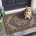 Kokia 2x3 Maroon Moody Brown Vintage Boho Oriental Soft Washable Area Rug