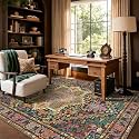 Kokia 4x6 Black and Pink Moody Vintage Boho Oriental Soft Washable Area Rug