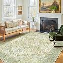 Kokia 6x9 Sage Light Green Vintage Boho Oriental Soft Washable Area Rug