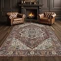 Kokia 8x10 Maroon Moody Brown Vintage Boho Oriental Soft Washable Area Rug