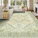 Kokia 8x10 Sage Light Green Vintage Boho Oriental Soft Washable Area Rug