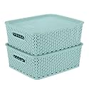 KOLORR Premium Elite Rectangular Medium Size Plastic Multipurpose Storage Baskets with Lids Pack of 3, Organiser Basket for Home Kitchen Wardrobe Toys Stationary - Mint Green