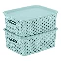 KOLORR Premium Elite Small Size Plastic Multipurpose Storage Baskets with Lids Pack of 2, Organiser Basket for Home Kitchen Wardrobe Toys Stationary - Mint Green
