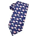 KOOELLE Men's American Flag Necktie Striped Patriotic Tie