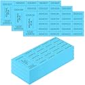 Kosiz 20 Bid 504 Raffle Ticket Sheets Chinese Auction Tickets, Lake Blue
