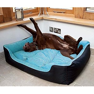 kozi pet polyster dogcat ultra soft filled bottom side waterproof reversible bed ethnic desingner blackskyblue-export quality-xxl with super soft blanket