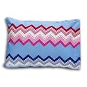 Kradyl Kroft Toddler Pillow Set of 2 with 100% Cotton Removable Cover - 20 X 15 Inches | Children Pillows | Baby Pillows - Blue Chevron N Blue Star