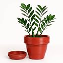 Kraft Seeds by 10CLUB Gamla Pots with Bottom Plates - 5 Pcs (8 Inch, Red) | Garden Planters with Drain Holes for Home Plants | Outdoor Balcony | Drip Tray Pot | Plastic Pots with Drainage Holes