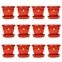 Kraft Seeds Planters with Bottom Plates - 12 Pcs (8 Inch, Red) | Gamla Pots for Home | Plant Containers | Indoor Outdoor Balcony Flower Pots | Drip Tray Pots with Plates