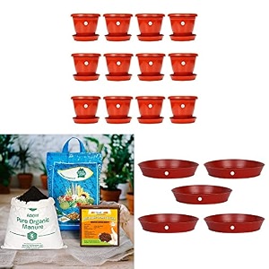 kraft seeds 12pcs plastic gamlaampkraft seeds organic manure includes 4kg vermicompost 4kg cocopeat 4kg organic manure pack amp plants  expands upto 150ltrs planter gamla plate
