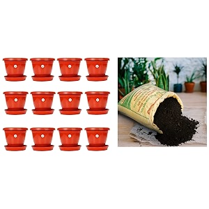kraft seeds 12pcs plastic gamla amp 20kg vermicompost for all kinds of plants complete food