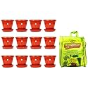 Kraft Seeds 12Pcs Plastic Gamla &amp; Vermicompost for All Kinds of Plants 5kg, Black Gold, Complete Food for The Soil, Enriched with Cow Urine, 100% Organic