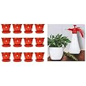 Kraft Seeds 12Pcs Plastic Gamla &amp; Pressure Spray Pump for Gardening