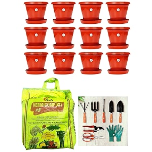 kraft seeds 12pcs plastic gamlaplanterpot with bottom platetray 8 inch amp vermicompost for all kinds of plants 5kg black gold amp 8 tool kit for garden