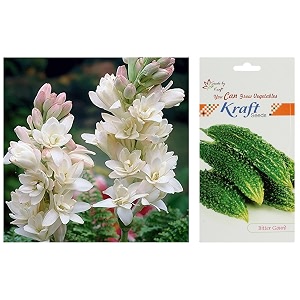 kraft seeds bitter gourd f1 hybrid by kraft seeds amp kraft seeds rajnigandha double flowering bulbs white 7 bulbs