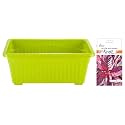 Kraft Seeds Cholai/Amaranthus Red Seeds (1 Packet, 500 Seeds) & Kraft Seeds Plastic Window Planters (1 Pc, 13 Inch, Green)