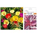 Kraft Seeds Cholai/Amaranthus Red Seeds (1 Packet, 500 Seeds) &amp; Kraft Seeds Portulaca Mix Flower Seeds (1 Packet, 200 Seeds)