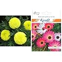 Kraft Seeds Garden Mix of Gainda/African Marigold Flower (Height 30-40 cm, Multicolour, 1000 Pieces) &amp; Mesembrynthemum or Ice Flower - Flower Seeds by Kraft Seeds Combo