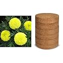 Kraft Seeds Garden Mix of Gainda/African Marigold Flower (Height 30-40 cm, Multicolour, 1000 Pieces) &amp; Coco peat/Agro peat Use for Fast Germinating Flower Seeds and Vegetable Seeds 100g (Multic Combo