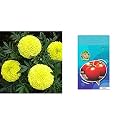 Kraft Seeds Garden Mix of Gainda/African Marigold Flower (Height 30-40 cm, Multicolour, 1000 Pieces) &amp; TOMATO HYBRID VEGETABLE SEEDS BY KRAFT SEEDS Combo