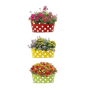 kraft seeds metal planters 3pcs 124 inch  detachable handles  oval dotted hanging planter  useful for home gardening  aesthetic oval planters  with drainage hole  detachable flower pots  home decor