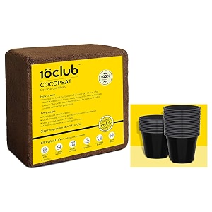 kraft seeds plastic flower pots 25 pcs 6 inch black cocopeat - 5 kg brick