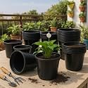 Kraft Seeds Plastic Nursery Seedlings Pots - 20 Pcs (6 Inch, Black) | Plant Seed Starting Pots | Garden Plant Pots for Indoors &amp; Outdoors | Planting Pots | Plant Containers for Home Plants