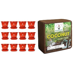 kraft seeds plastic pot with bottom plate red 8 inch pack of 12 amp gate garden cocopeat for garden 5 kg cheapest amp spectacular quality expands upto 75 l
