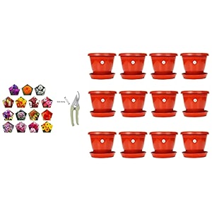 kraft seeds plastic pot with bottom plate red 8 inch pack of 12 amp pruning shear cutter 95cm 9cm amp flower seeds heirloom seed high germination seeds pack of 15