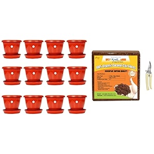 kraft seeds plastic pot with bottom plate red 8 inch pack of 12 amp garden shears pruners scissor assorted amp cocopeat block agropeat powder for hydroponics plant for garden- 5kg approx