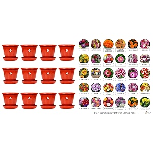 kraft seeds plastic pot with bottom plate red 8 inch pack of 12 amp flower seeds heirloom seed and beautiful bloom pack of 30