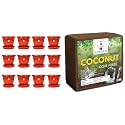 Kraft Seeds Plastic Pot with Bottom Plate, Red, 8 inch, Pack of 12 &amp; GATE Garden Cocopeat for Garden 5 Kg Cheapest &amp; Spectacular Quality Expands Upto 75 L